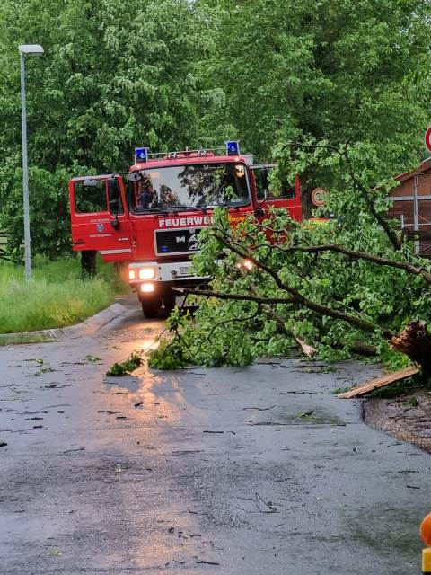 IMG-20220520-WA0039 groß.jpg